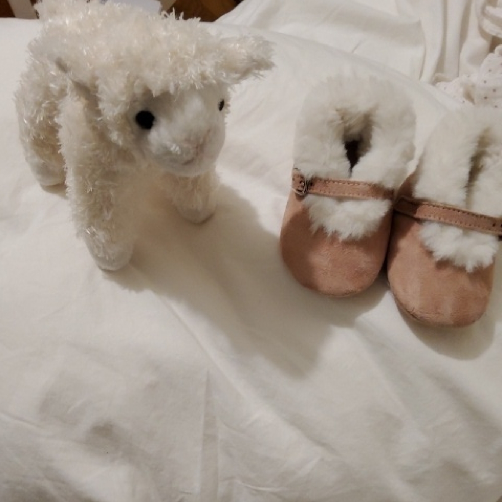 Plush Lamb Toy and Baby Pink Booties